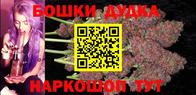 сатива Кандалакша