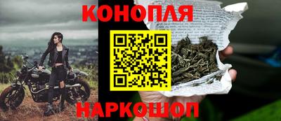 сатива Кандалакша