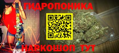 дживик Камышлов