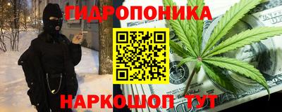 сатива Кандалакша