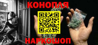 сатива Кандалакша
