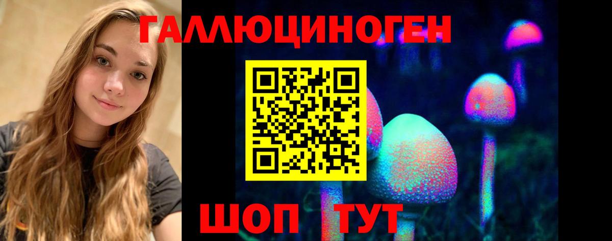 Галлюциногенные грибы прущие грибы Междуреченск
